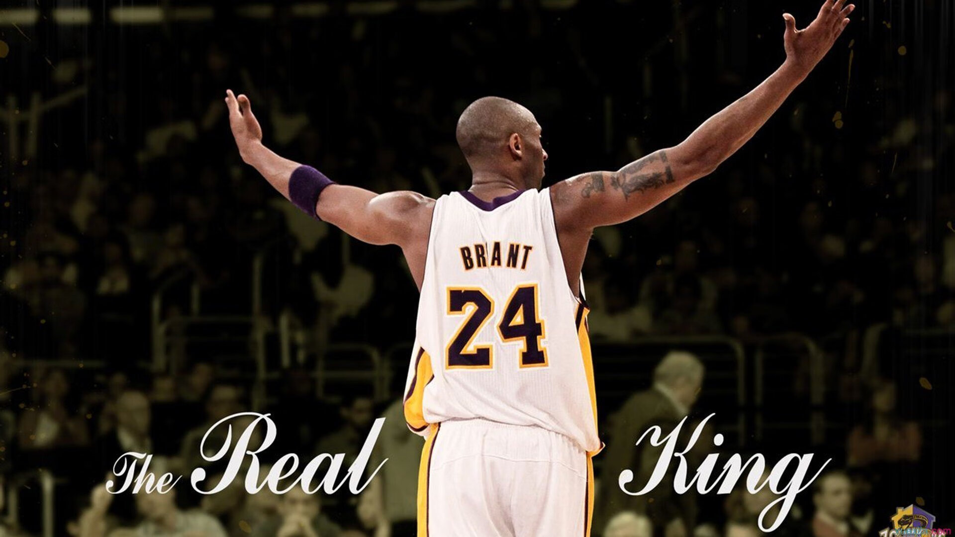 巴利亚多利德围绕核心组织展开阵地推进，巴利亚多利德对毕巴