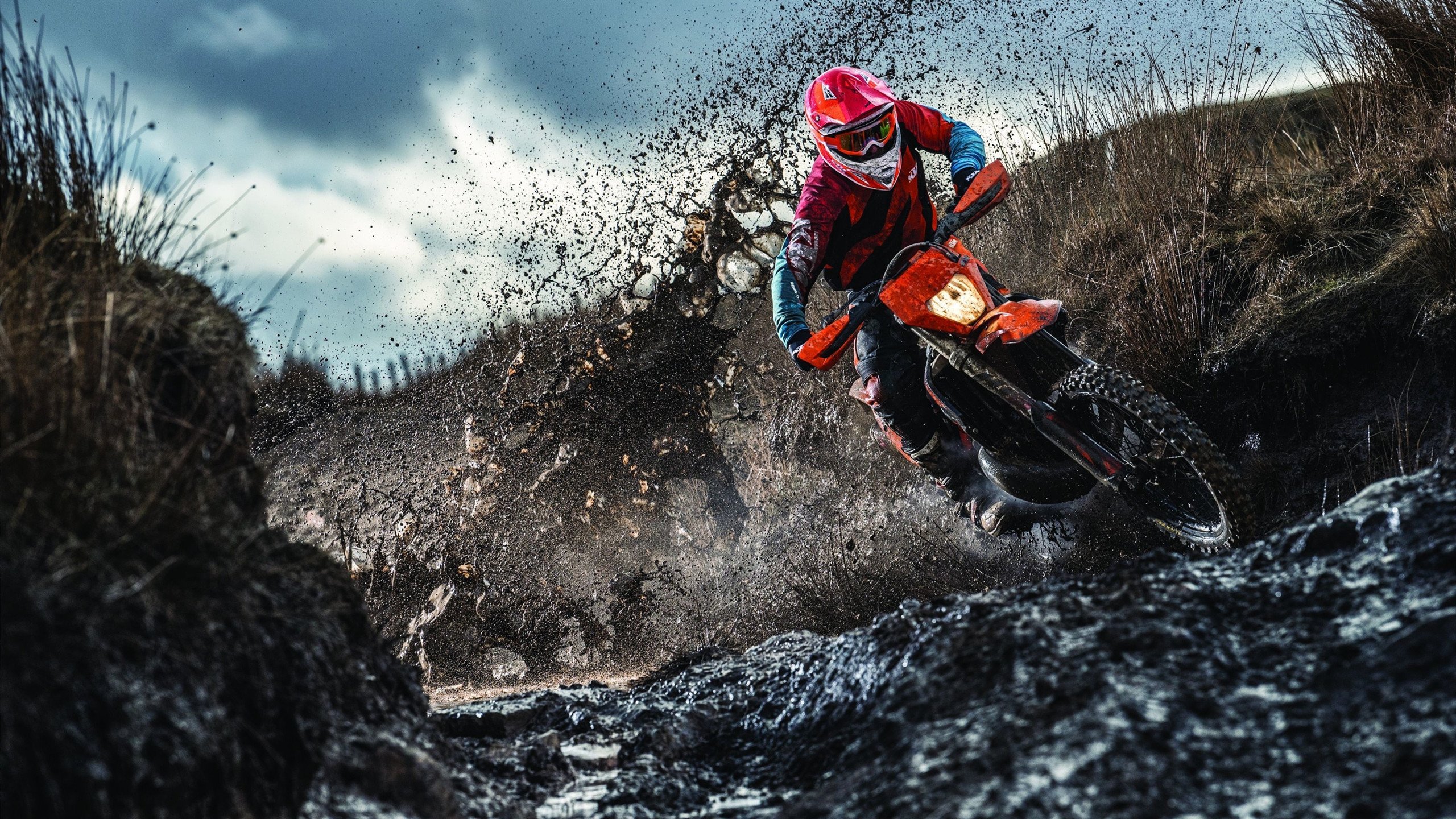 曹缘男子3米跳板技术细节获赞,3米跳板中国选手